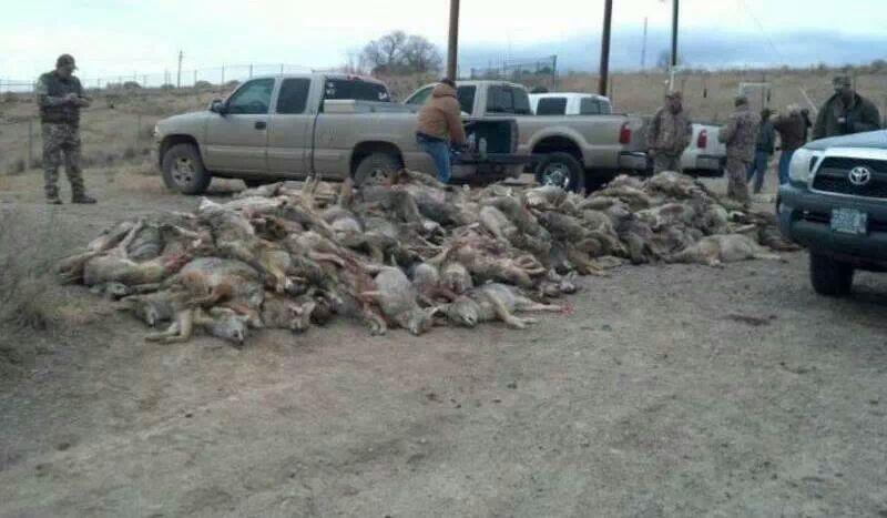 Idaho Pile Of Corpses Contest